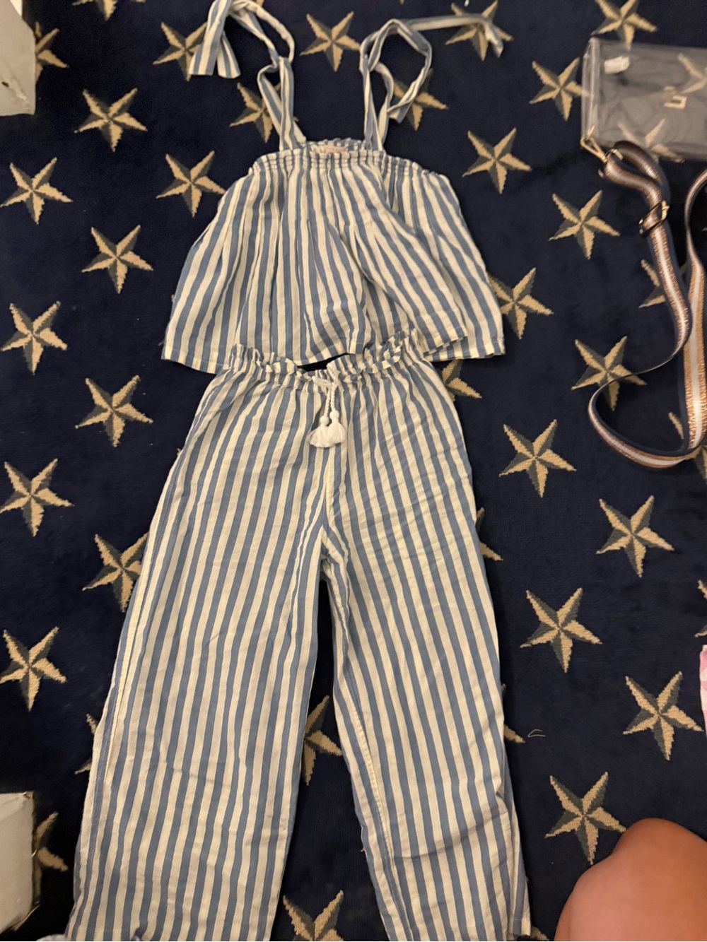 Pink Chicken Blue and White Striped Kids Two-Piece Set